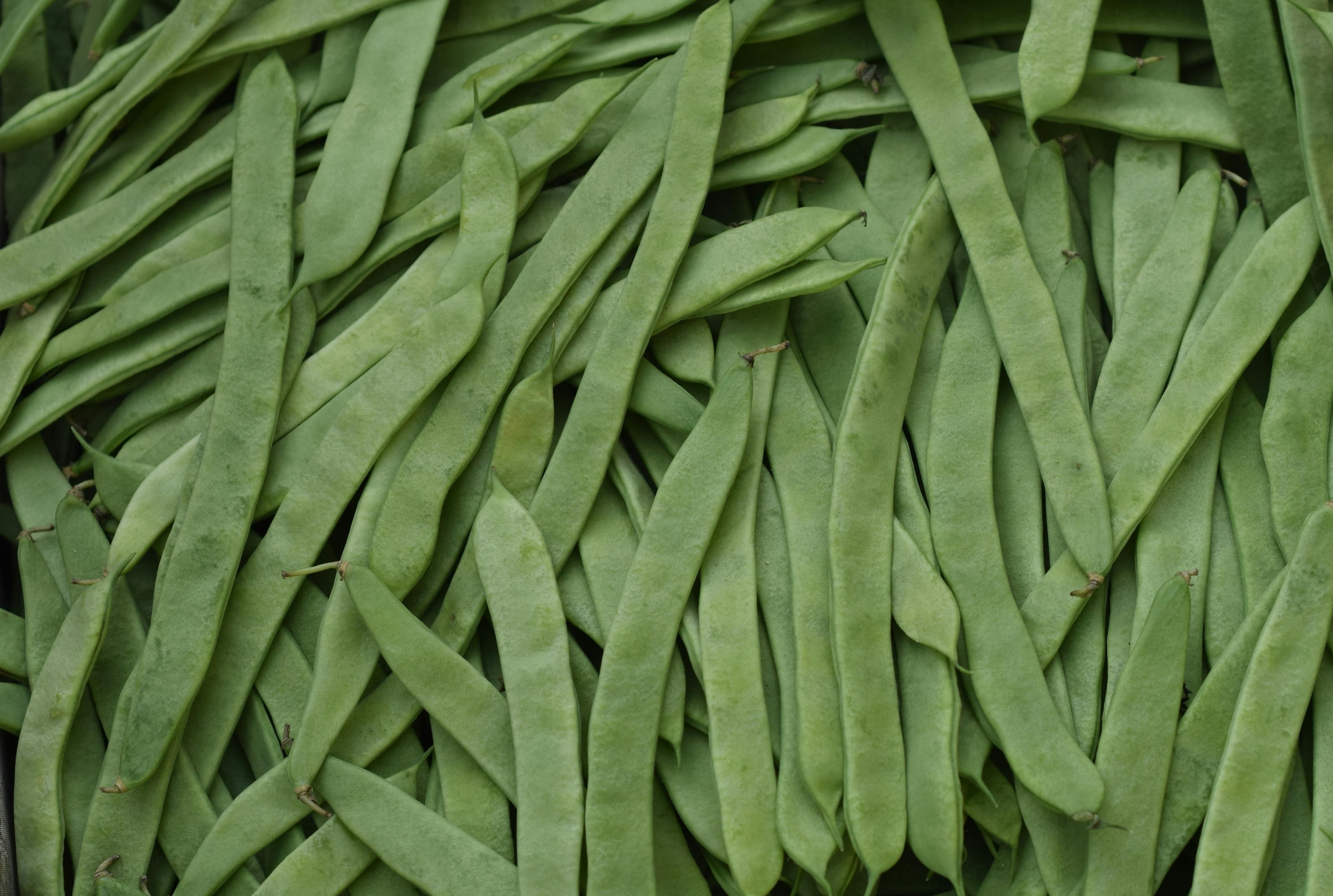 Feijão verde