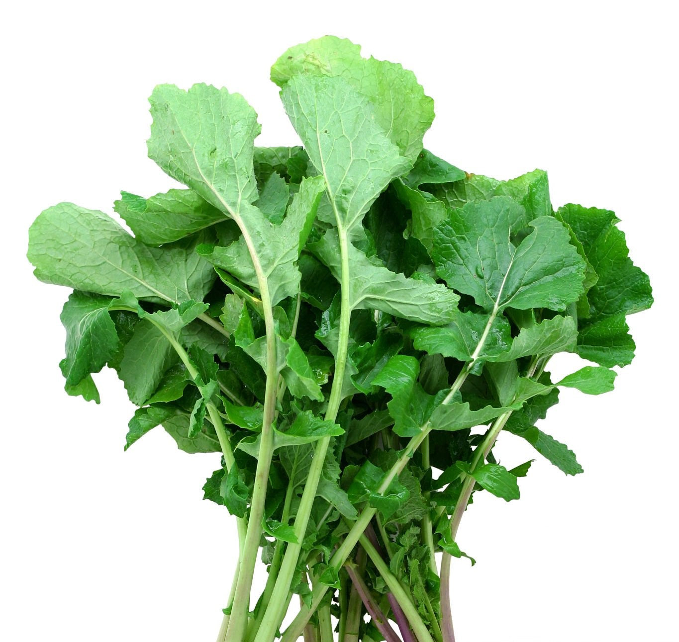 Nabiças