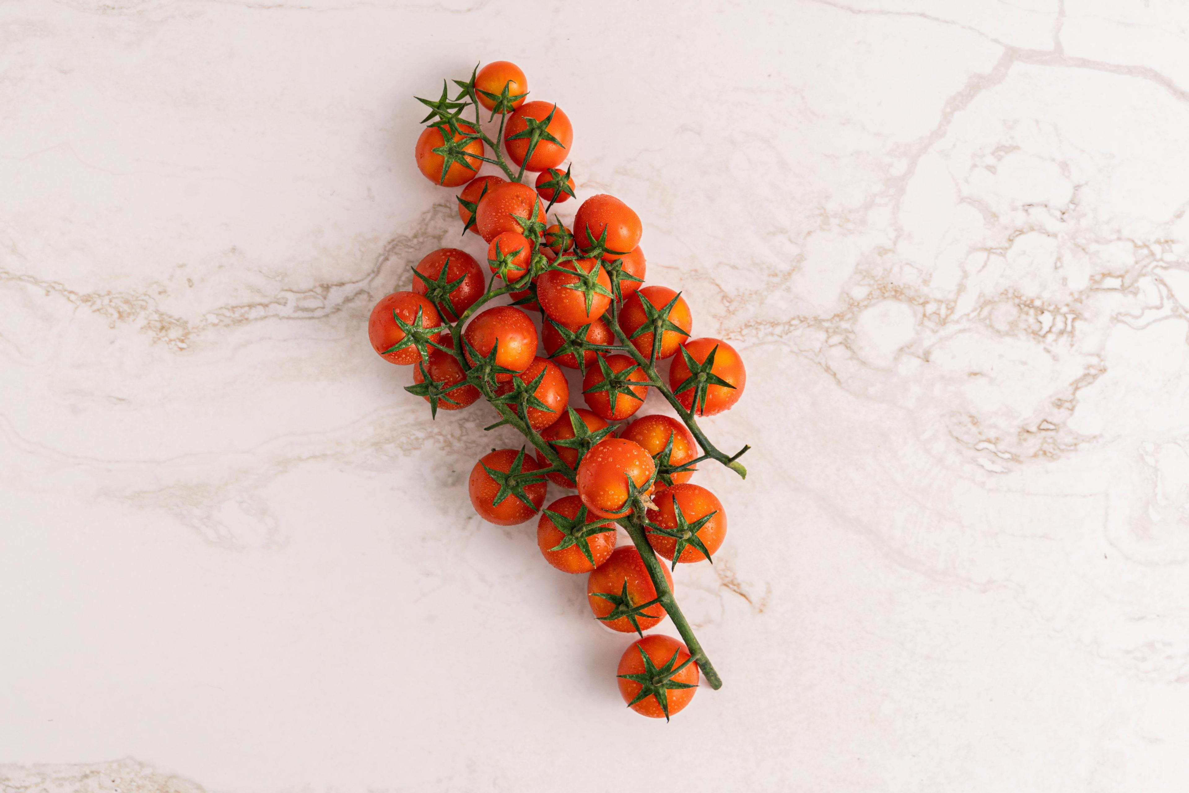 Tomate cherry